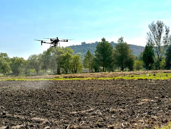 Realizan primera aplicación de herbicida mediante el uso de dron agrícola en Tepeji