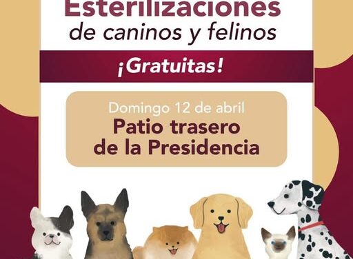 Gobierno de Tepeji realizará una Campaña Gratuita de Esterilización Felina y Canina en la cabecera municipal