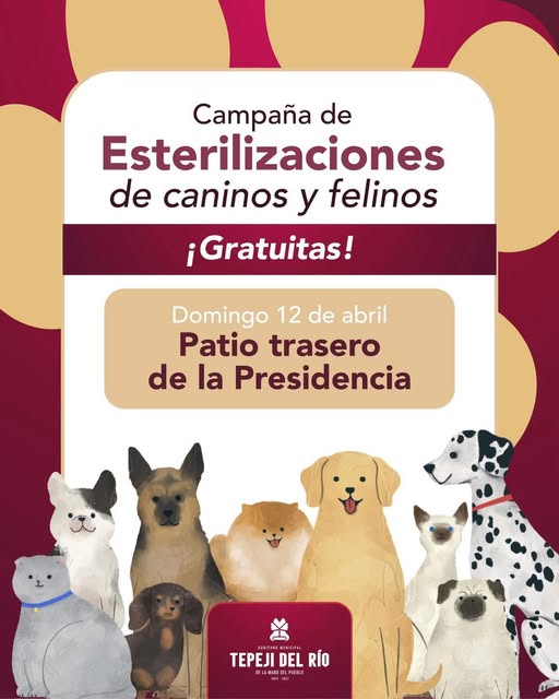 Gobierno de Tepeji realizará una Campaña Gratuita de Esterilización Felina y Canina en la cabecera municipal