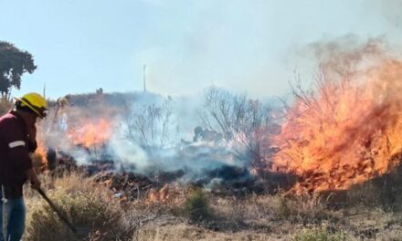 Más del 60 % de los incendios en la entidad son provocados por personas