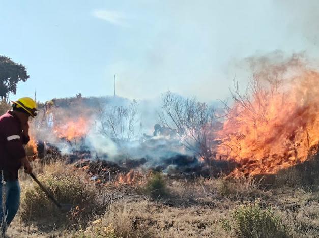 Más del 60 % de los incendios en la entidad son provocados por personas