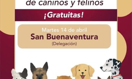 La Unidad Móvil de Esterilización Canina y Felina estará instalada en la comunidad de San Buenaventura