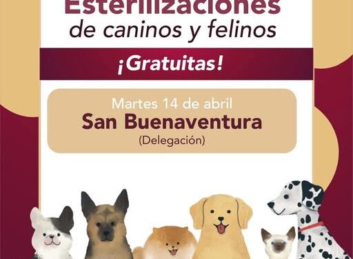La Unidad Móvil de Esterilización Canina y Felina estará instalada en la comunidad de San Buenaventura