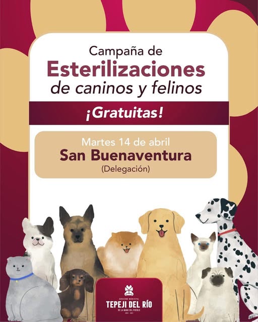 La Unidad Móvil de Esterilización Canina y Felina estará instalada en la comunidad de San Buenaventura