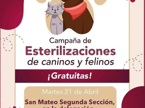 Continúan Jornadas de Esterilización Canina y Felina en Tepeji del Río