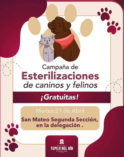 Continúan Jornadas de Esterilización Canina y Felina en Tepeji del Río
