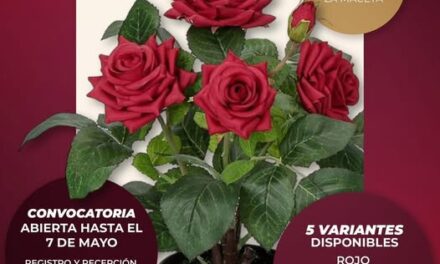 Adquiere en Atotonilco de Tula hermosas rosas para sorprender a mamá en su día especial