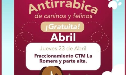 Habrá campaña de esterilización canina y felina en Tepeji del Río