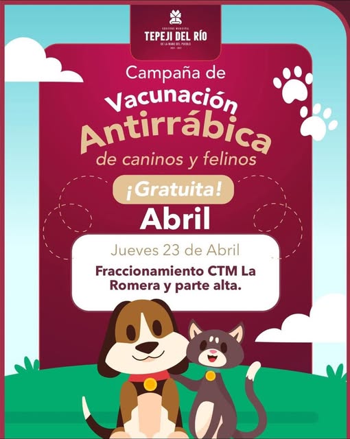 Habrá campaña de esterilización canina y felina en Tepeji del Río