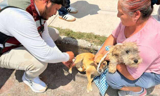 Vanunan a más de 250 caninos y felinos en comunidad de Tepeji