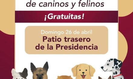 Habrá campaña de esterilización canina y felina en la cabecera municipal de Tepeji del Río