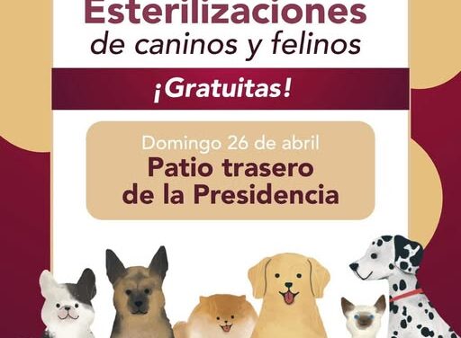 Habrá campaña de esterilización canina y felina en la cabecera municipal de Tepeji del Río