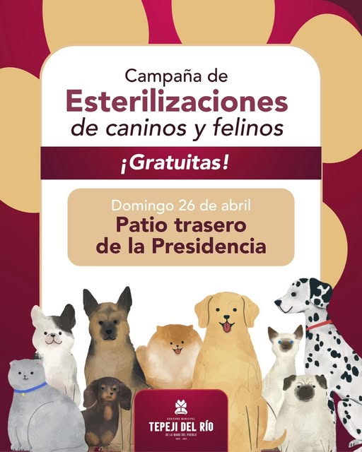 Habrá campaña de esterilización canina y felina en la cabecera municipal de Tepeji del Río