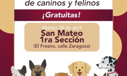 La Unidad de esterilización canina y felina estará en San Mateo 1a. Sección