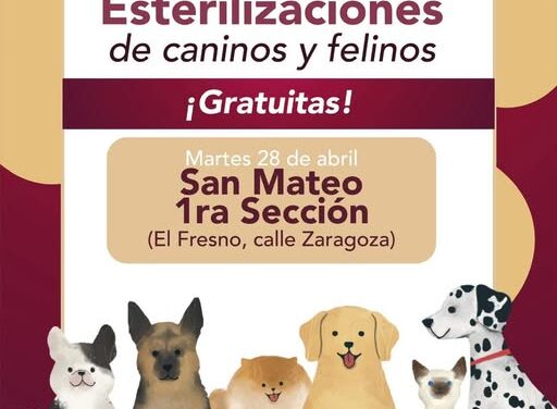 La Unidad de esterilización canina y felina estará en San Mateo 1a. Sección