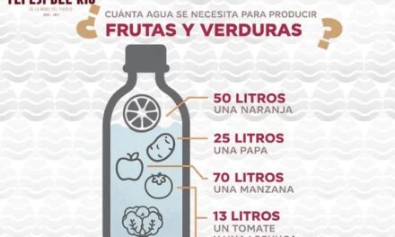 ¿Sabes cuánta agua se necesita para que tus alimentos lleguen a tu mesa?