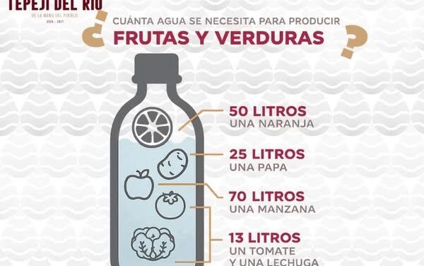 ¿Sabes cuánta agua se necesita para que tus alimentos lleguen a tu mesa?
