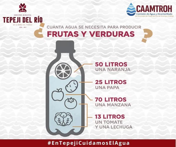 ¿Sabes cuánta agua se necesita para que tus alimentos lleguen a tu mesa?