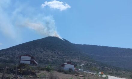 Elementos de PC Tepeji atienden incendio registrado en el Cerro de San Ildefonso