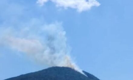 Elementos de PC y Bomberos Tepeji atienden incendio en San Ildefonso