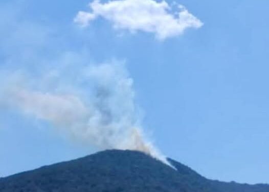 Elementos de PC y Bomberos Tepeji atienden incendio en San Ildefonso