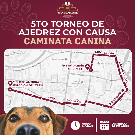 Conoce la ruta de la caminata canina con causa que se llevará a cabo en Tula de Allende