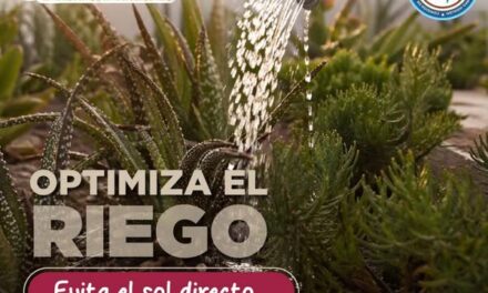 La CAAMTROH emite las siguientes recomendaciones para cuidar el agua