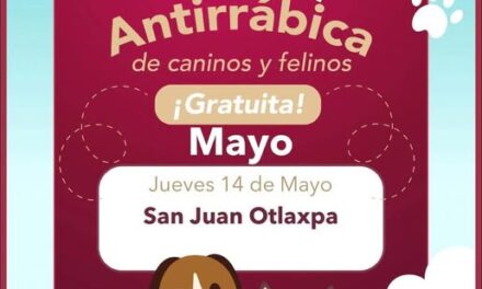 Avanza vacunación antirrábica en las localidades de Tepeji del Río
