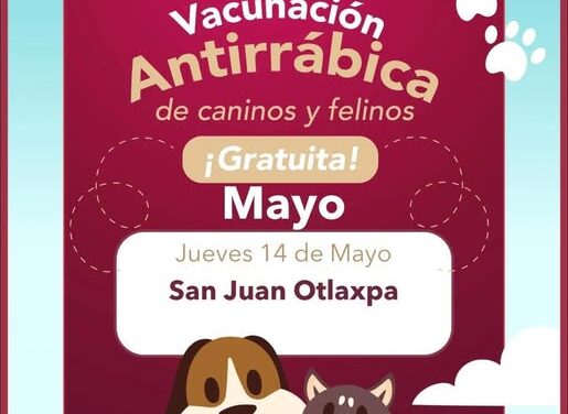 Avanza vacunación antirrábica en las localidades de Tepeji del Río