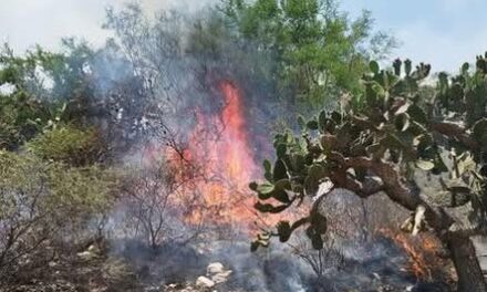 Bomberos Tula atienden diversos incendios de pastos secos