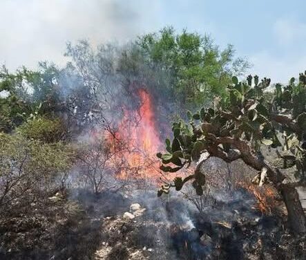 Bomberos Tula atienden diversos incendios de pastos secos