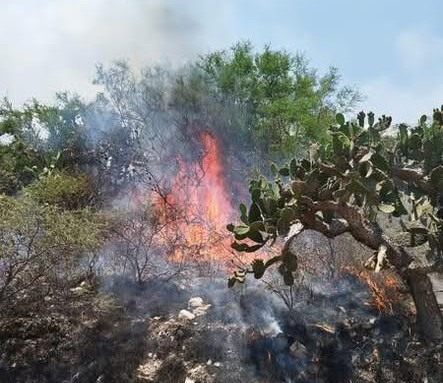 Bomberos Tula atienden diversos incendios de pastos secos