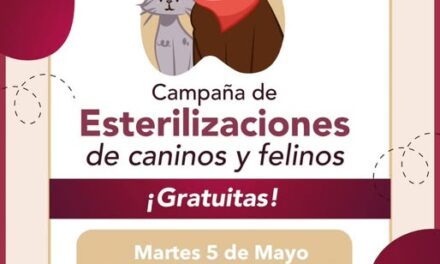 Unidad móvil de esterilicación canina y felina deTepeji, visitará la colonia El Carmen