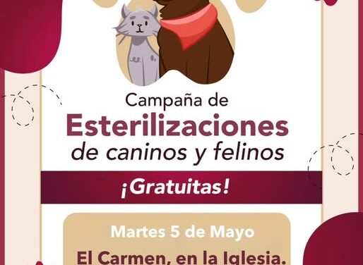 Unidad móvil de esterilicación canina y felina deTepeji, visitará la colonia El Carmen