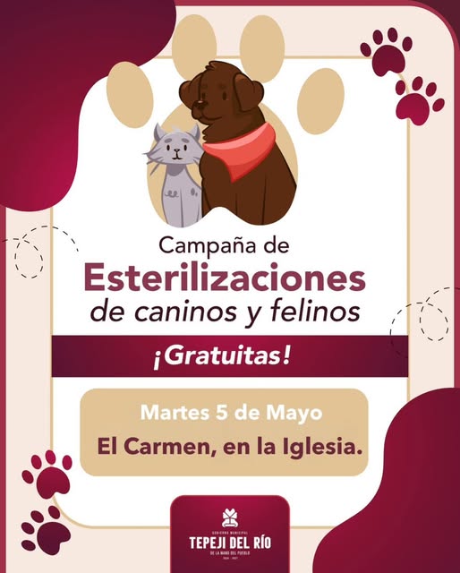 Unidad móvil de esterilicación canina y felina deTepeji, visitará la colonia El Carmen