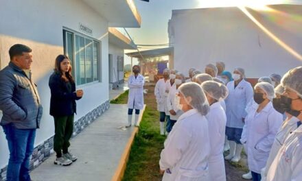 Estudiantes universitarios visitan el rastro municipal de Tepeji del Río