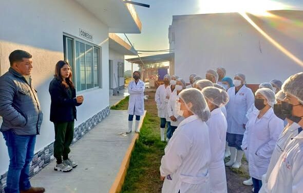 Estudiantes universitarios visitan el rastro municipal de Tepeji del Río