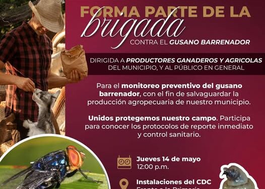 Gobierno de Atotonilco de Tula invita a formar parte de la Brigada contra el Gusano Barrenador