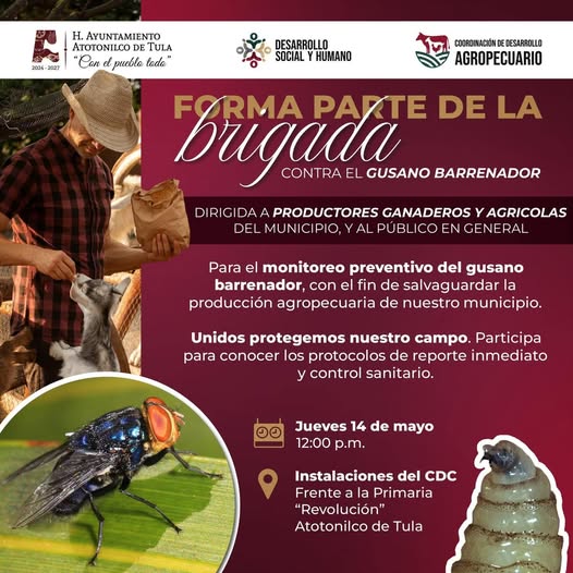 Gobierno de Atotonilco de Tula invita a formar parte de la Brigada contra el Gusano Barrenador