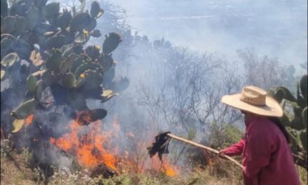Bomberos Tula atienden reporte de incendio en Bomintzhá