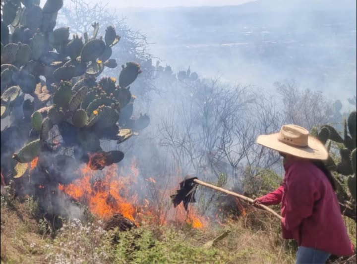 Bomberos Tula atienden reporte de incendio en Bomintzhá