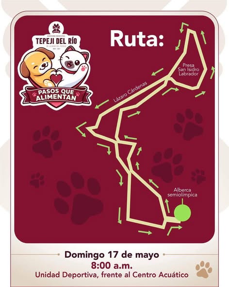 Organizan caminata “Pasos que Alimentan” en Tepeji del Río
