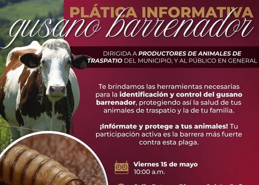Impartirán plática informativa sobre el Gusano Barrenador en Atotonilco de Tula