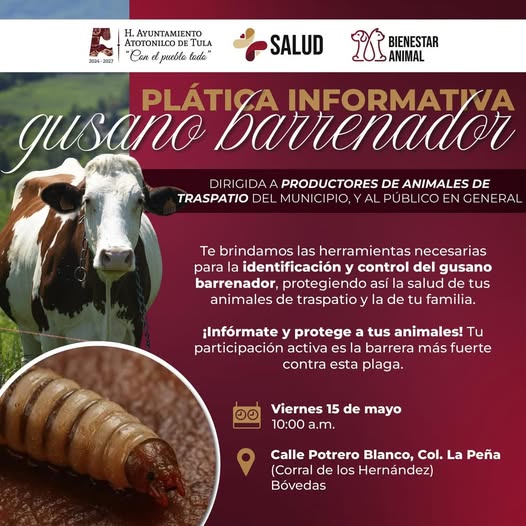 Impartirán plática informativa sobre el Gusano Barrenador en Atotonilco de Tula