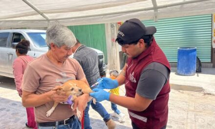 Avanza Campaña de Vacunación Antirrábica 2026 en Tepeji del Río