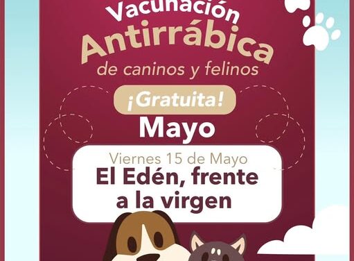 El Gobierno Municipal Tepeji del Río invita a la ciudadanía a participar en la Campaña de Vacunación Antirrábica para caninos y felinos