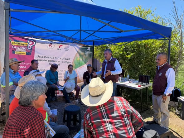 Realizan plática sobre el gusano barrenador en Atotonilco de Tula