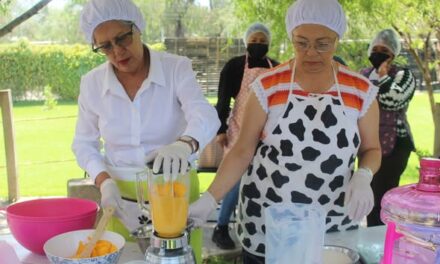 Fomentan el emprendimiento en Atotonilco de Tula con curso de elaboración de nieves