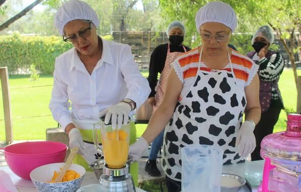 Fomentan el emprendimiento en Atotonilco de Tula con curso de elaboración de nieves