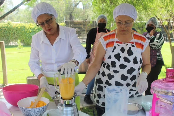 Fomentan el emprendimiento en Atotonilco de Tula con curso de elaboración de nieves